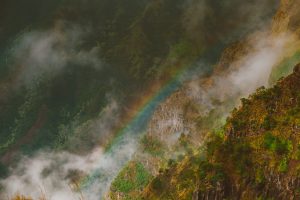 “Una vida de arcoiris y pasiones mutantes”