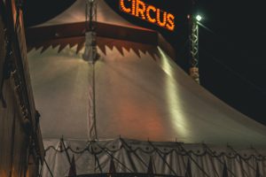 ¿A qué hora inicia el ensayo del animal circense?