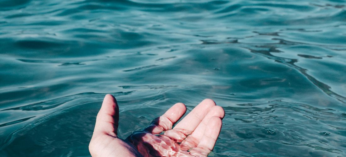 abrázame fuerte y no me sueltes, mesón estrella