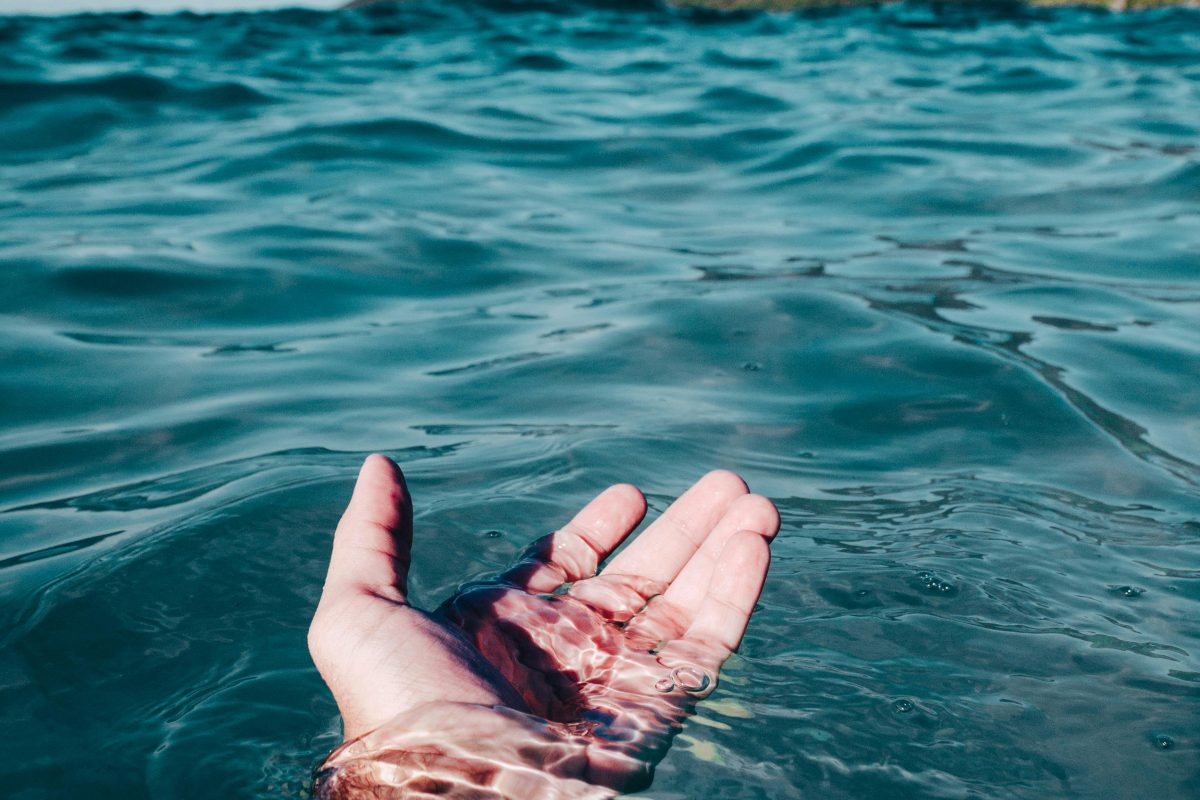 abrázame fuerte y no me sueltes, mesón estrella