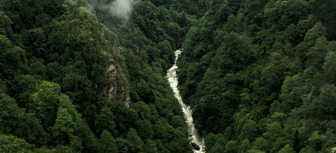 Navegar entre palabras