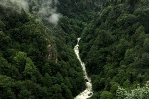 Navegar entre palabras