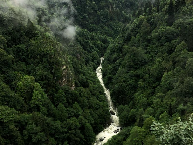 Navegar entre palabras