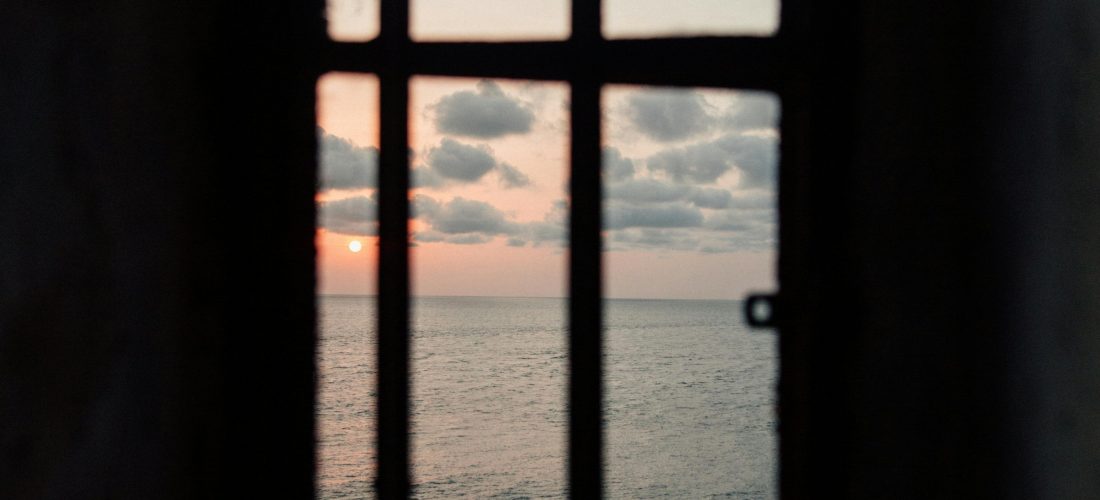 Editorial: noviembre 2025