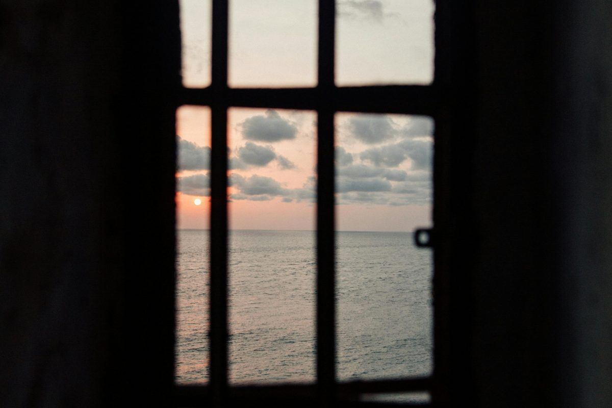 Editorial: noviembre 2025