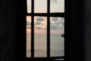 Editorial: noviembre 2025