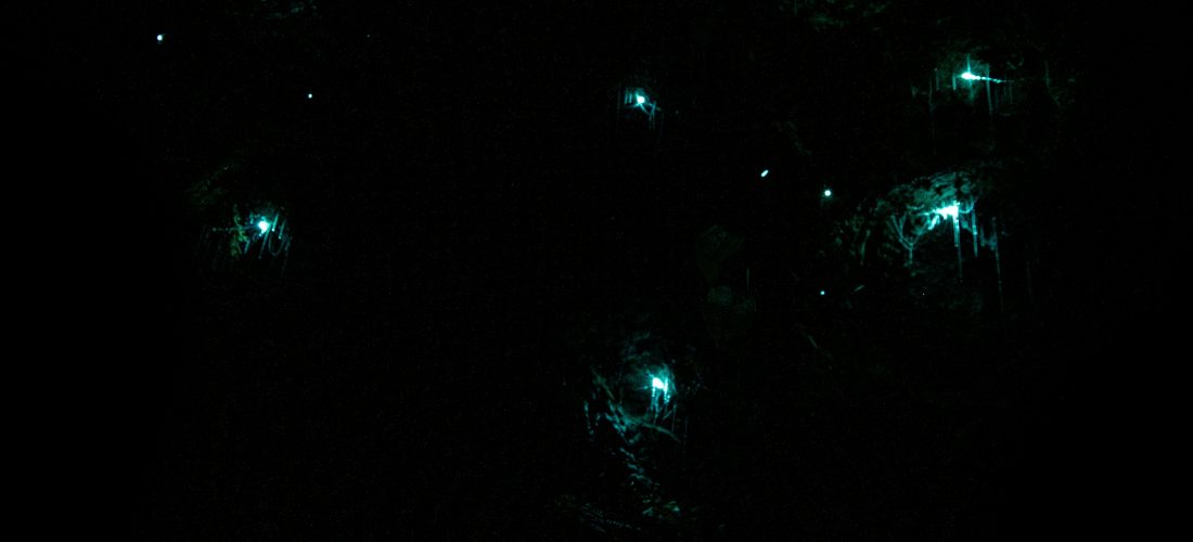 Navegar en la memoria del verano