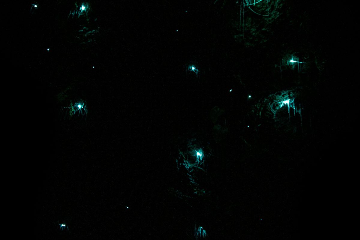 Navegar en la memoria del verano