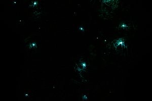 Navegar en la memoria del verano