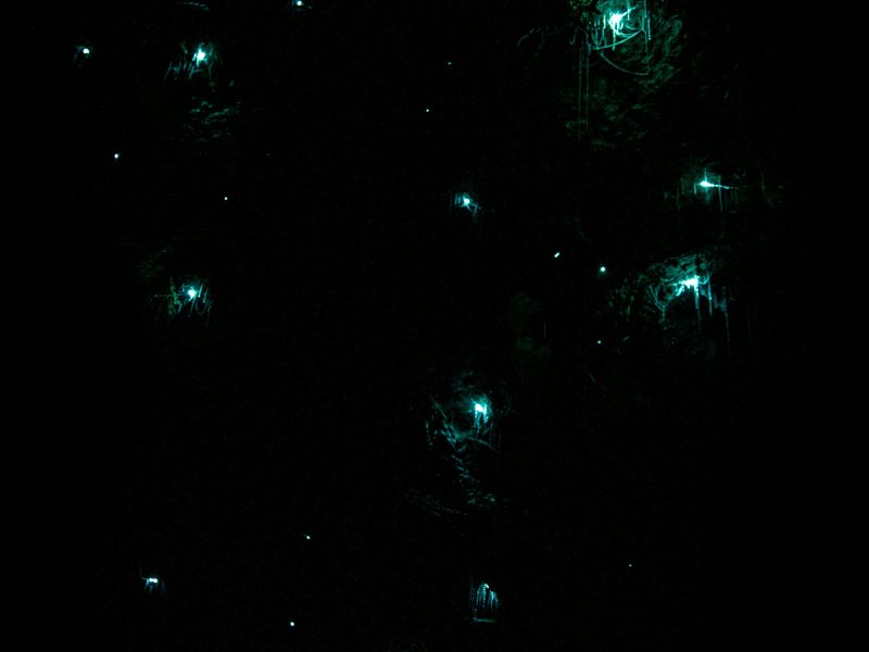 Navegar en la memoria del verano