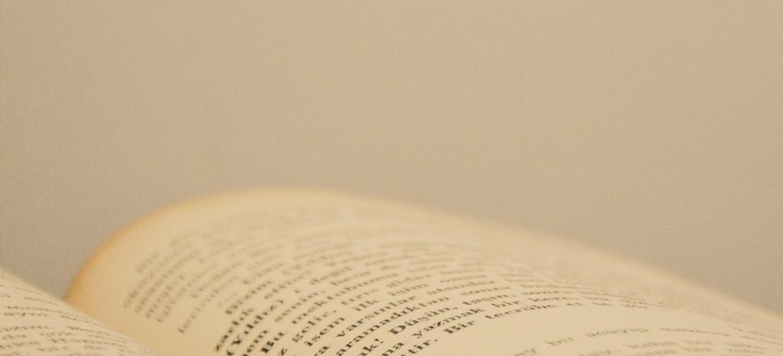 Me acuerdo de la única vez que leí a Georges Perec. Me sentía muy triste y compré <em>La vida instrucciones de uso</em> pensando que era un libro de autoayuda. A su manera lo fue