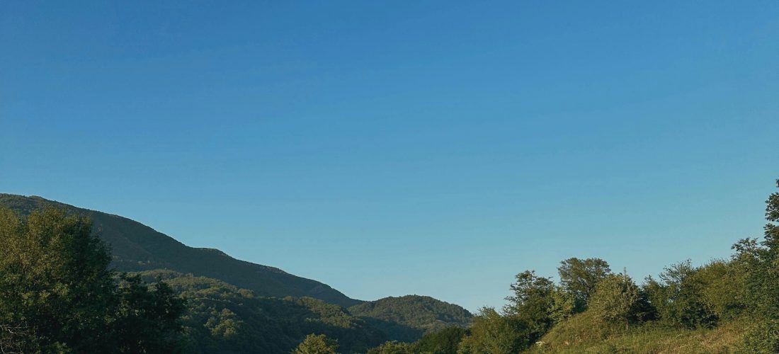 Jorge Cantú de la Garza: La irrupción de lo cotidiano