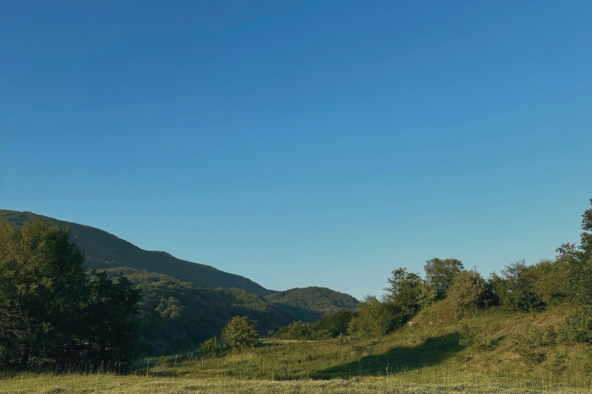 Jorge Cantú de la Garza: La irrupción de lo cotidiano