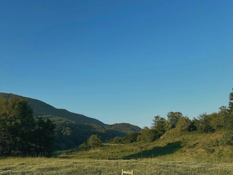 Jorge Cantú de la Garza: La irrupción de lo cotidiano